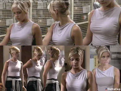 Sarah Michelle Gellar / sarahmgellar nude photo #0033