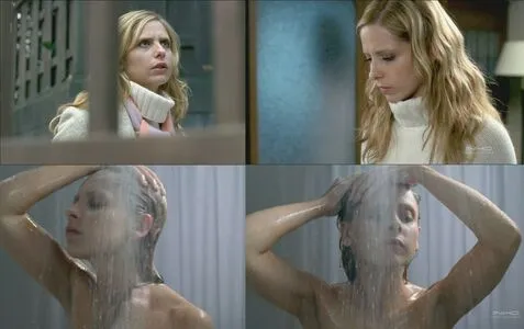 Sarah Michelle Gellar / sarahmgellar nude photo #0104