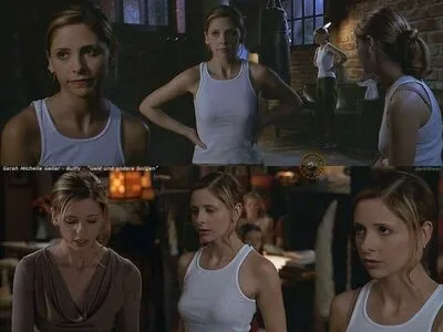 Sarah Michelle Gellar / sarahmgellar nude photo #0108