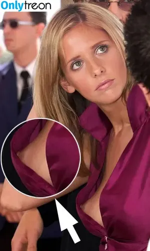 Sarah Michelle Gellar / sarahmgellar nude photo #0594