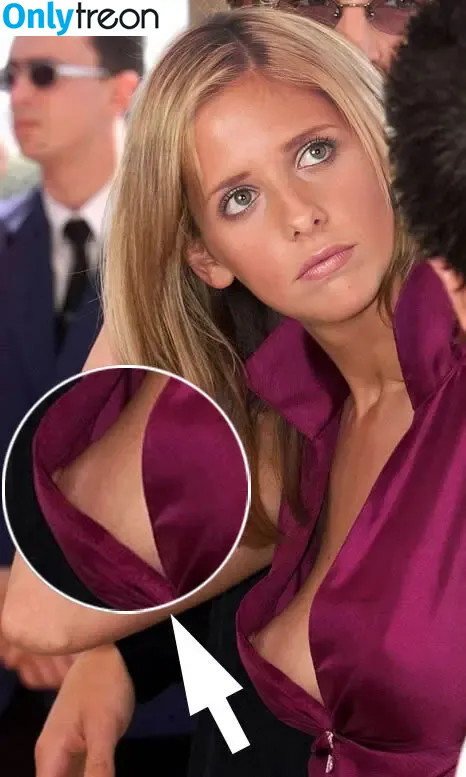 Sarah Michelle Gellar nude photo #0594 (sarahmgellar)