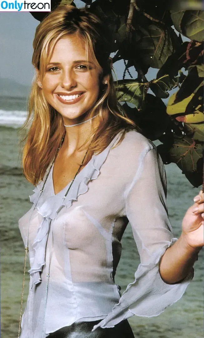 Sarah Michelle Gellar nude photo #0658 (sarahmgellar)