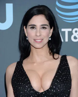 Sarah Silverman / dailyxdesiresx / sarahkatesilverman фото голая #0176