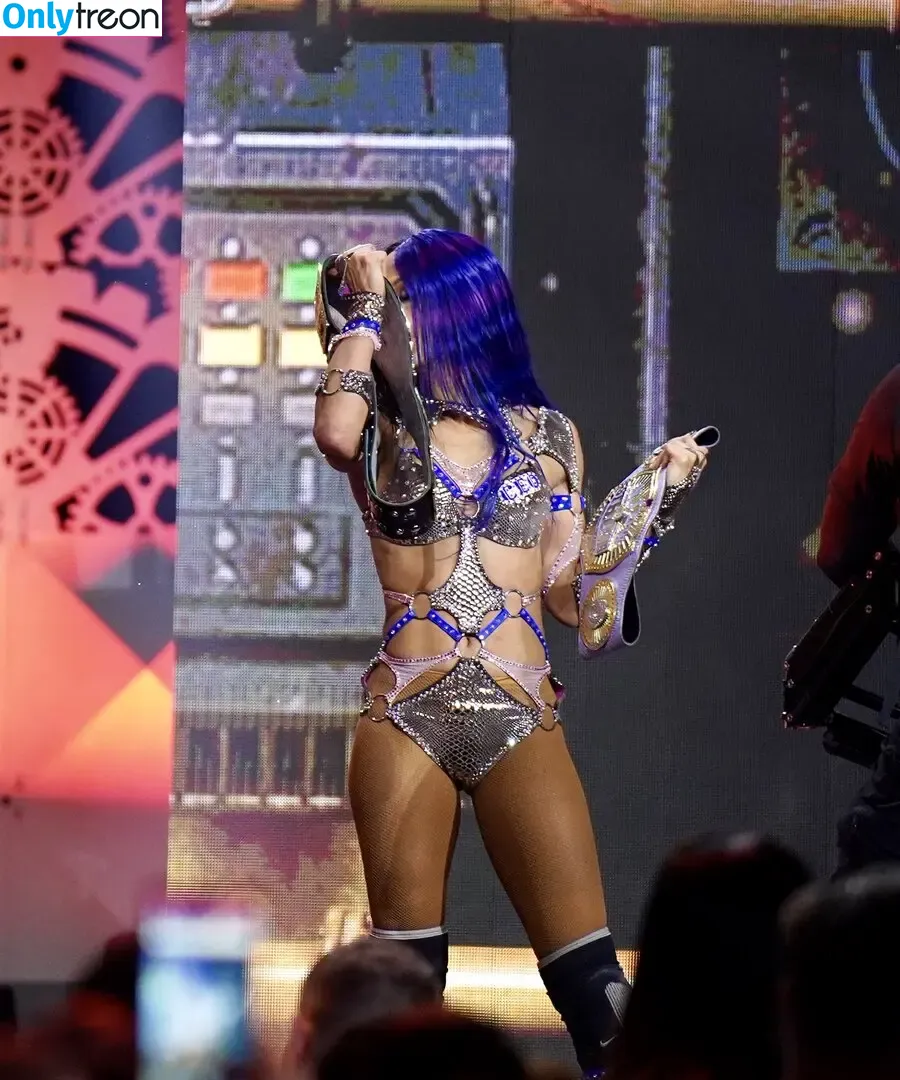 Sasha Banks nude photo #1706 (sashabankswwe / soxysasha)