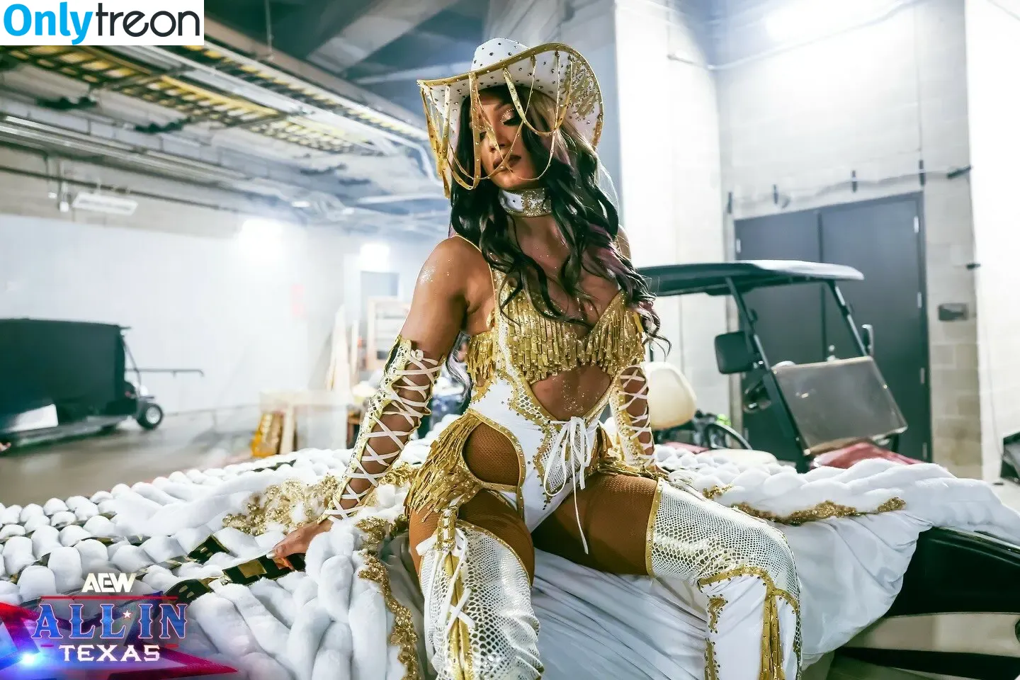 Sasha Banks голая photo #1807 (sashabankswwe / soxysasha)