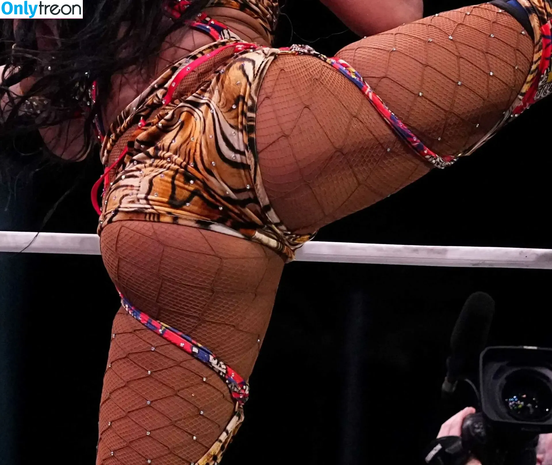 Sasha Banks nude photo #2060 (sashabankswwe / soxysasha)