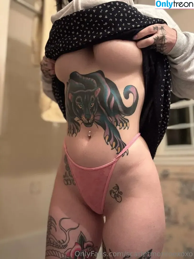 scarletmonroexoxo nude photo #0065 (scarletmonroexoxo)