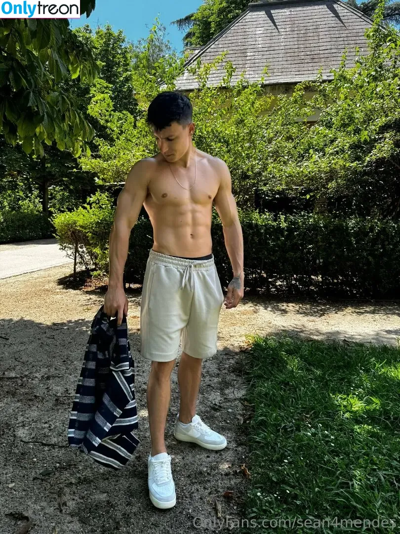 sean4mendes nude photo #0023 (sean4mendes)