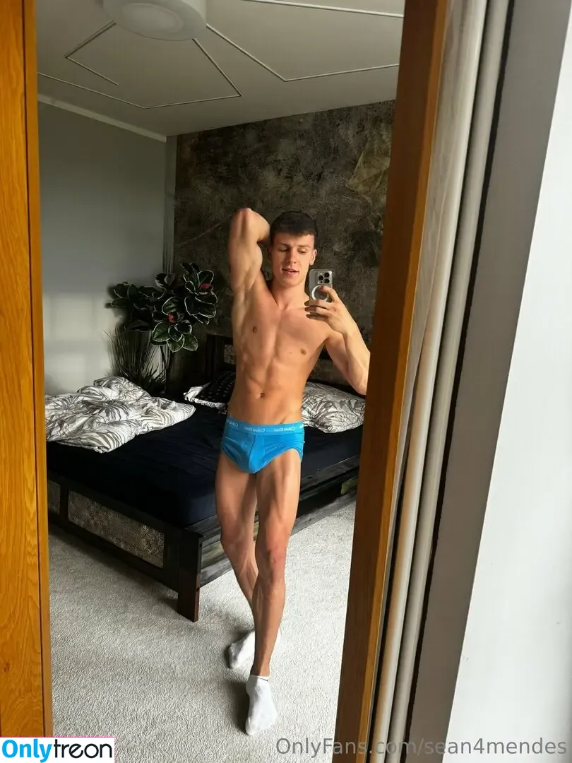 sean4mendes nude photo #0068 (sean4mendes)