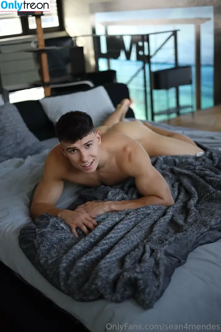 sean4mendes nude photo #0077 (sean4mendes)