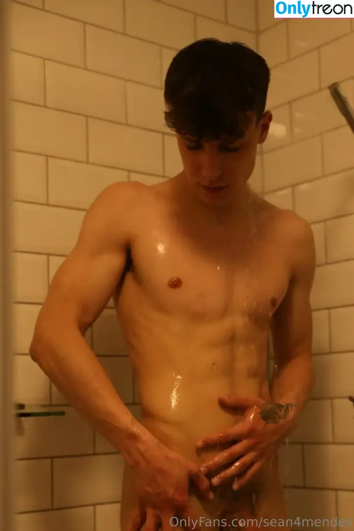 sean4mendes nude photo #0079 (sean4mendes)