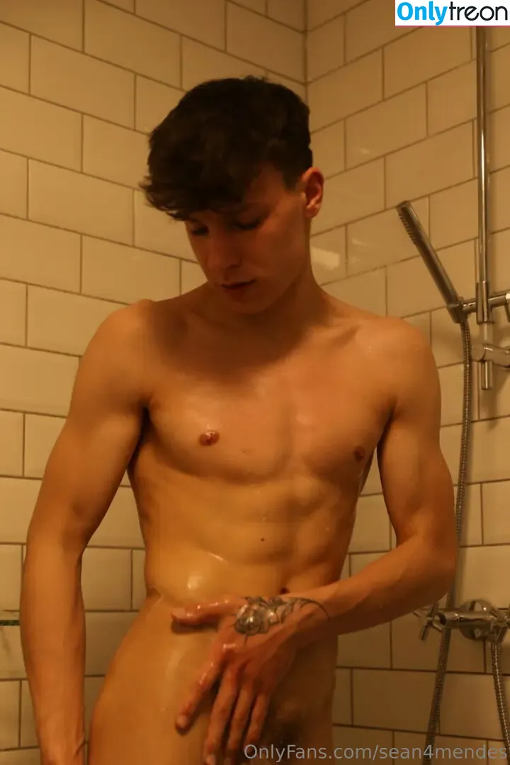 sean4mendes nude photo #0080 (sean4mendes)