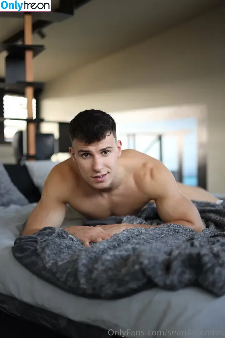 sean4mendes nude photo #0100 (sean4mendes)