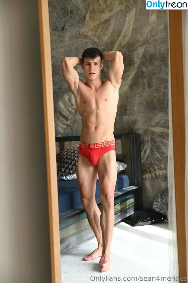 sean4mendes nude photo #0103 (sean4mendes)