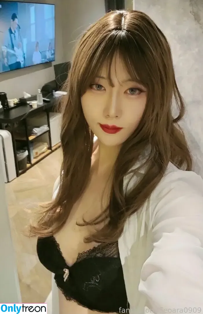 Seoara0909 nude photo #0101 (crossdresser_seoara)