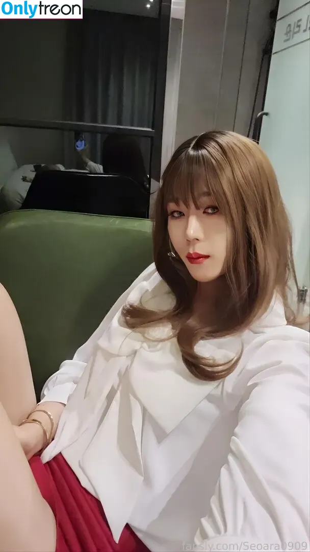 Seoara0909 nude photo #0107 (crossdresser_seoara)