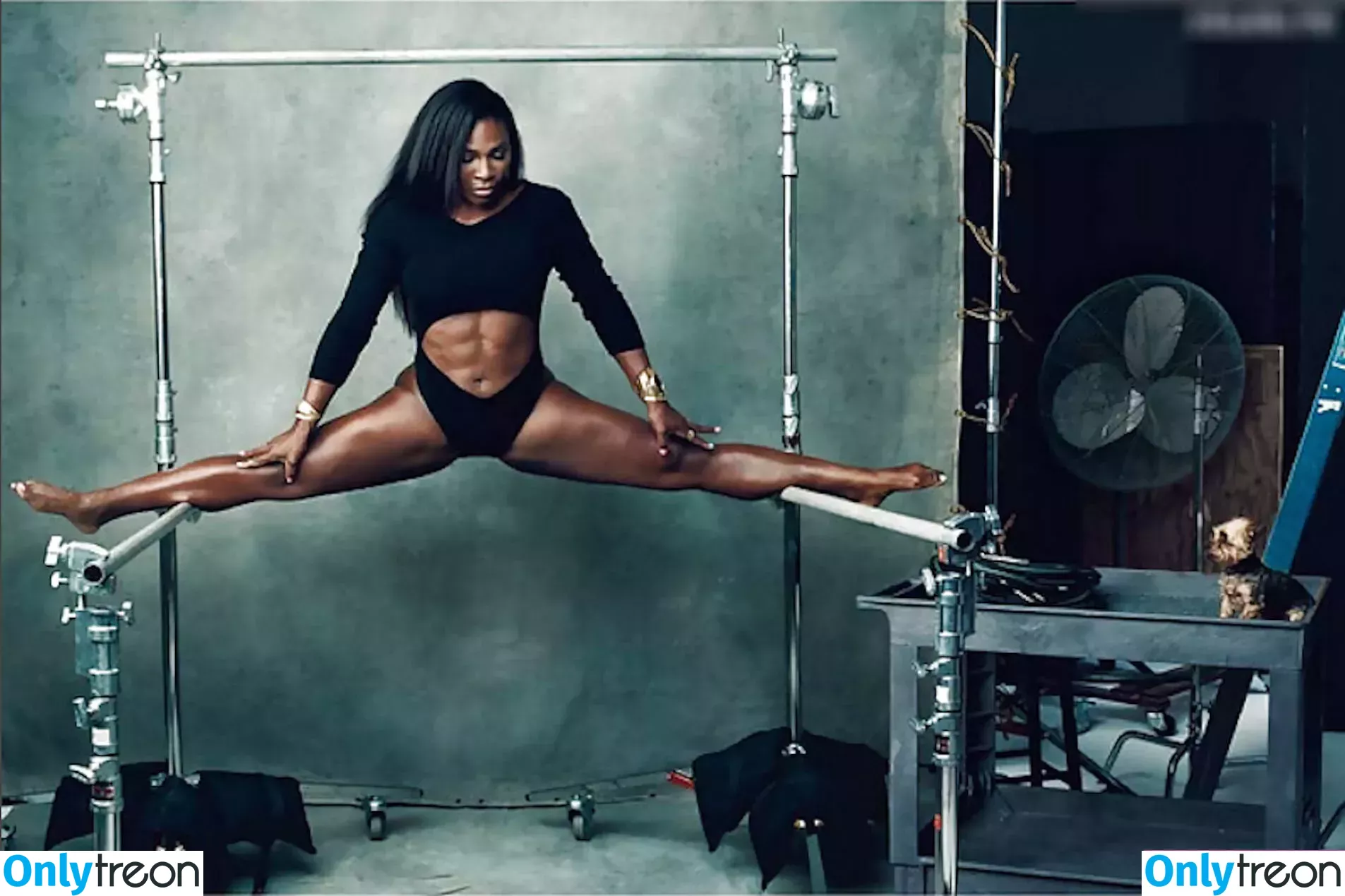 Serena Williams nude photo #0175 (serenawilliams)
