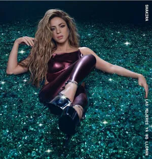 Shakira / shakkira фото голая #0437