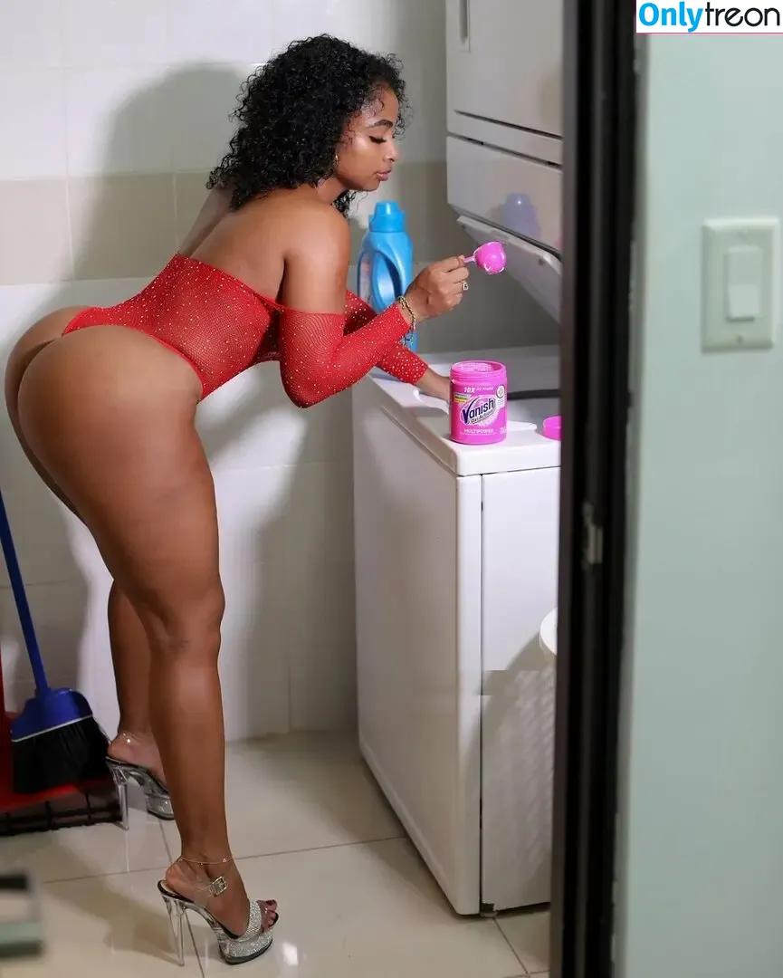 Shaniki Hernandez nude photo #0017 (shaniki.hernandez)
