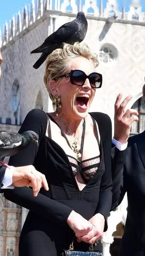 Sharon Stone / search / sharonstone фото голая #0315