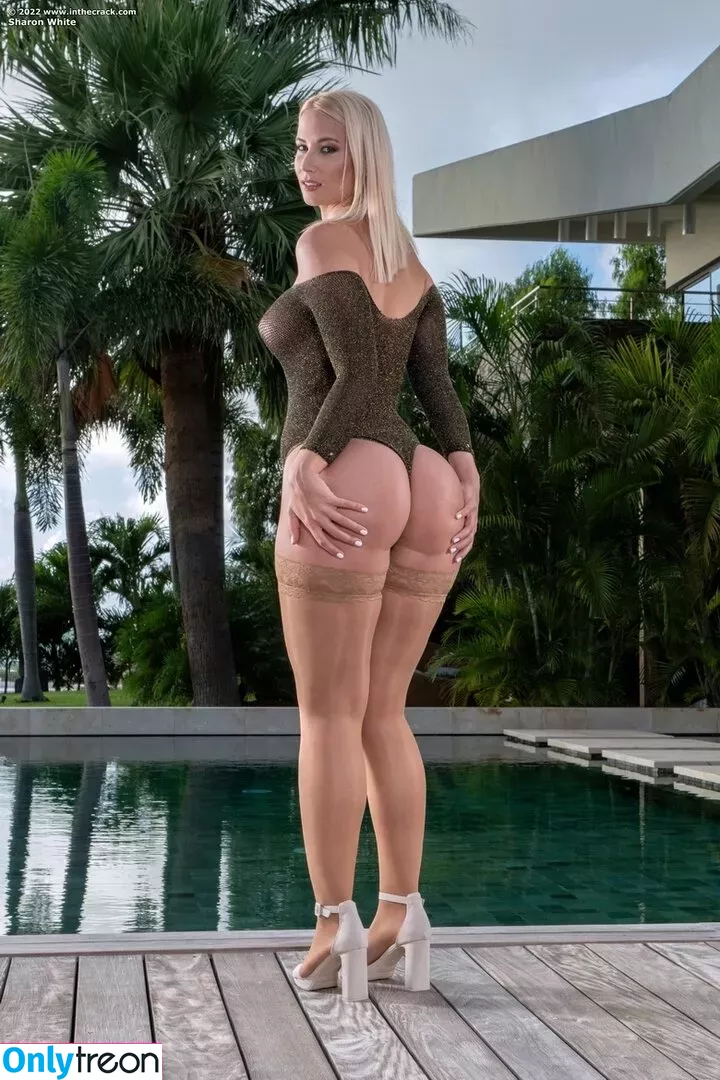 Sharon White голая photo #0062 (sharonwhite_real / sharonwhitexxx)