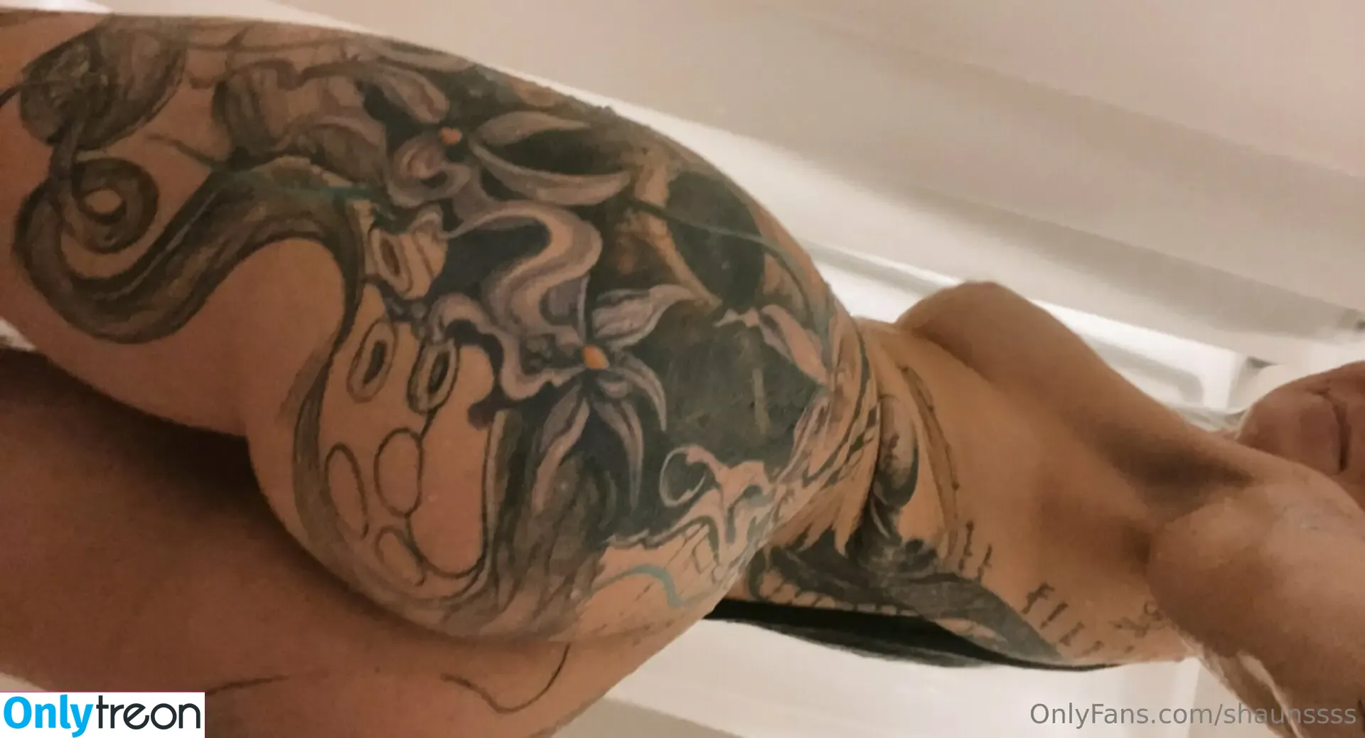 shaunssss nude photo #0047 (shaunasand)
