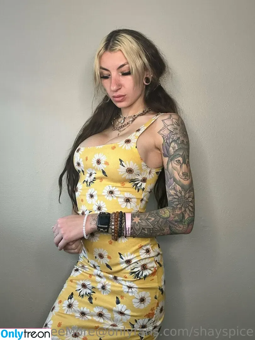 shayspicefree голая photo #0151 (shayshayfree)