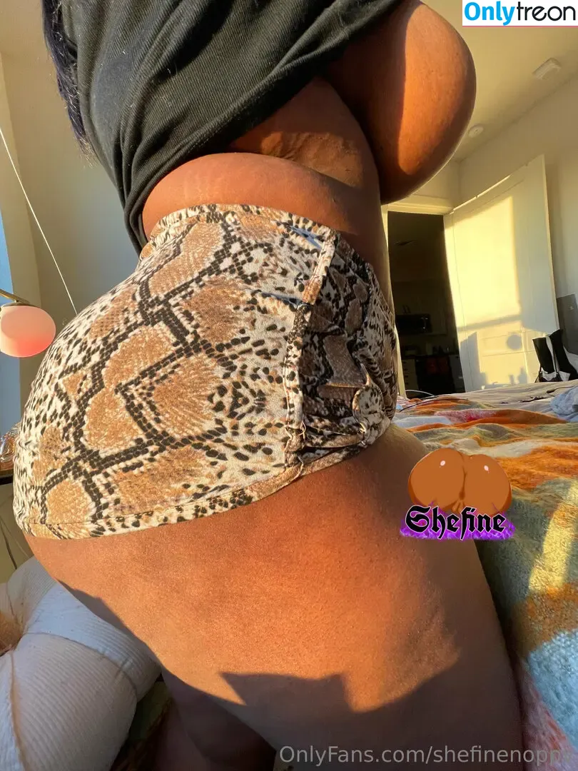 shefinenoppv голая photo #0051 (fineass.shev)