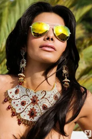 Sherlyn Chopra / SherlynChopra / _sherlynchopra_ / officialsherlynchopra фото голая #0056