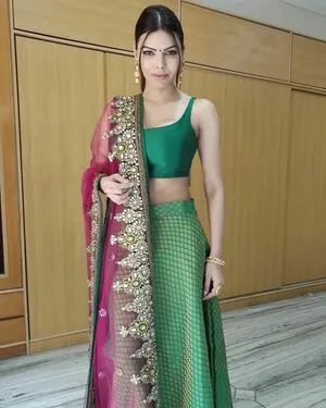 Sherlyn Chopra / SherlynChopra / _sherlynchopra_ / officialsherlynchopra фото голая #0061