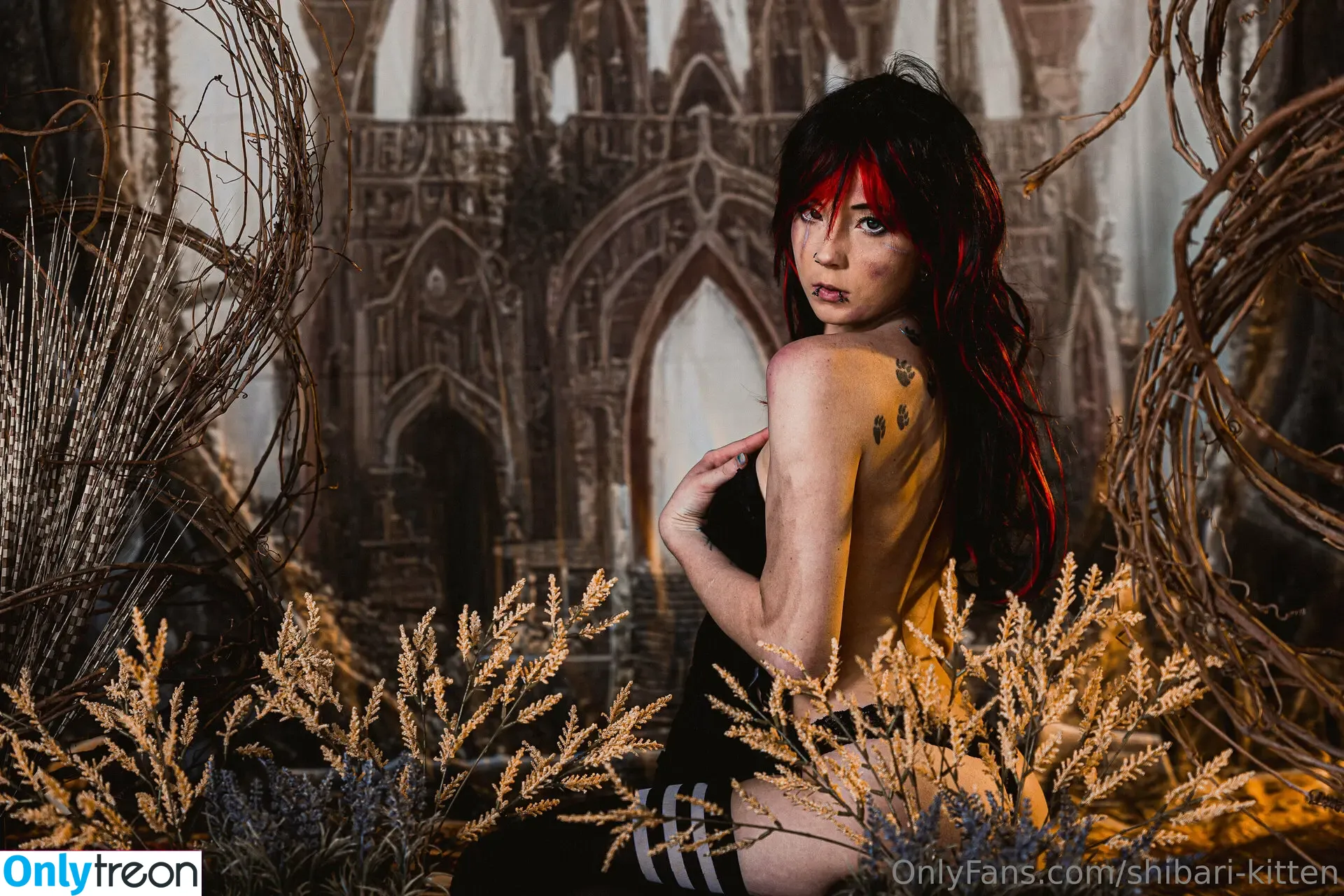 shibari-kitten голая photo #0051 (shibari-kitten)