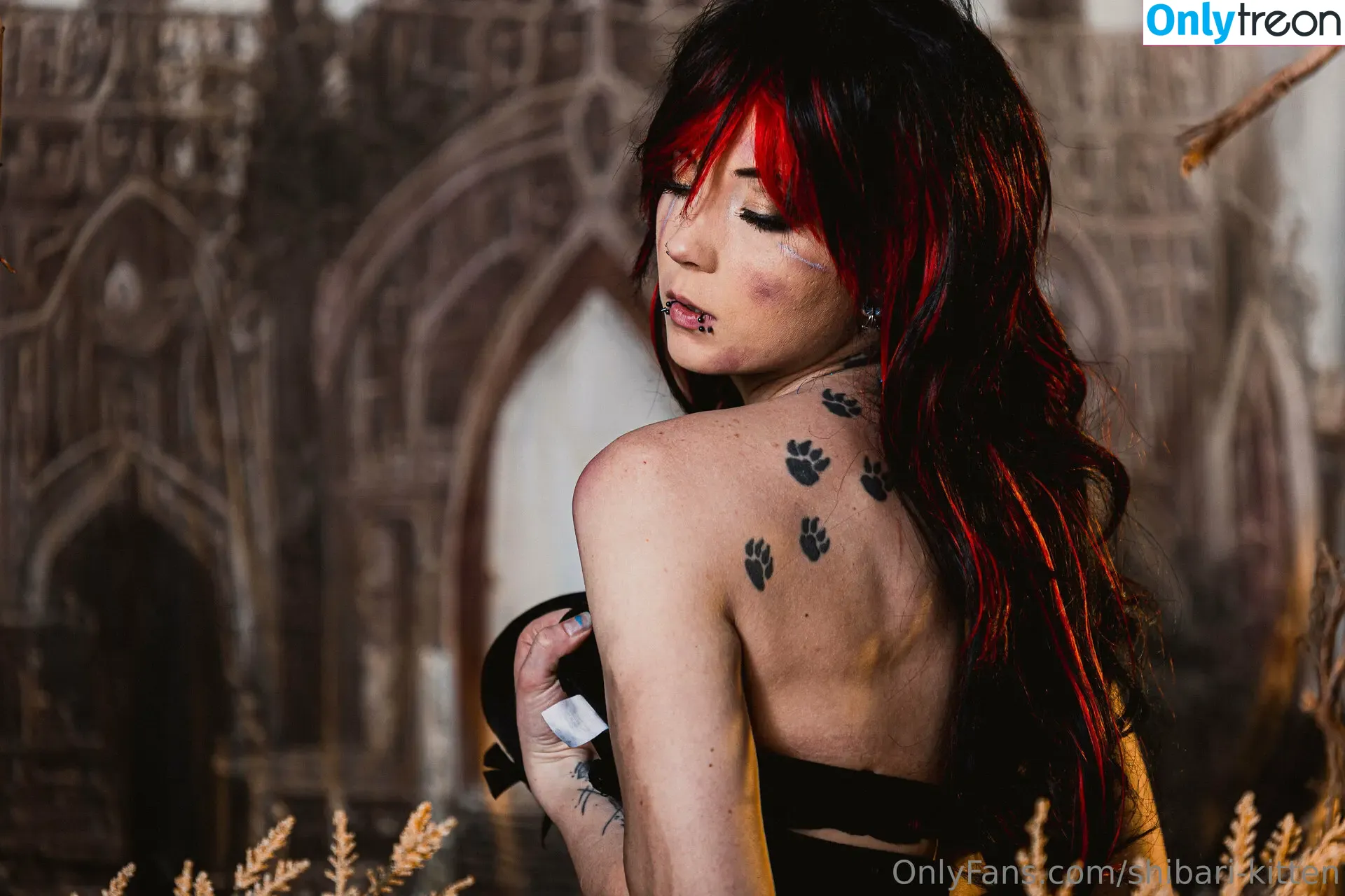 shibari-kitten голая photo #0052 (shibari-kitten)