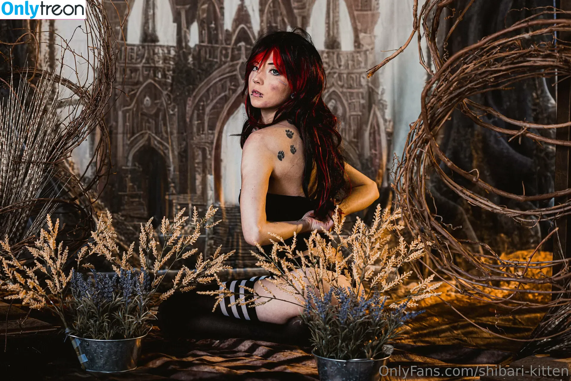 shibari-kitten голая photo #0054 (shibari-kitten)