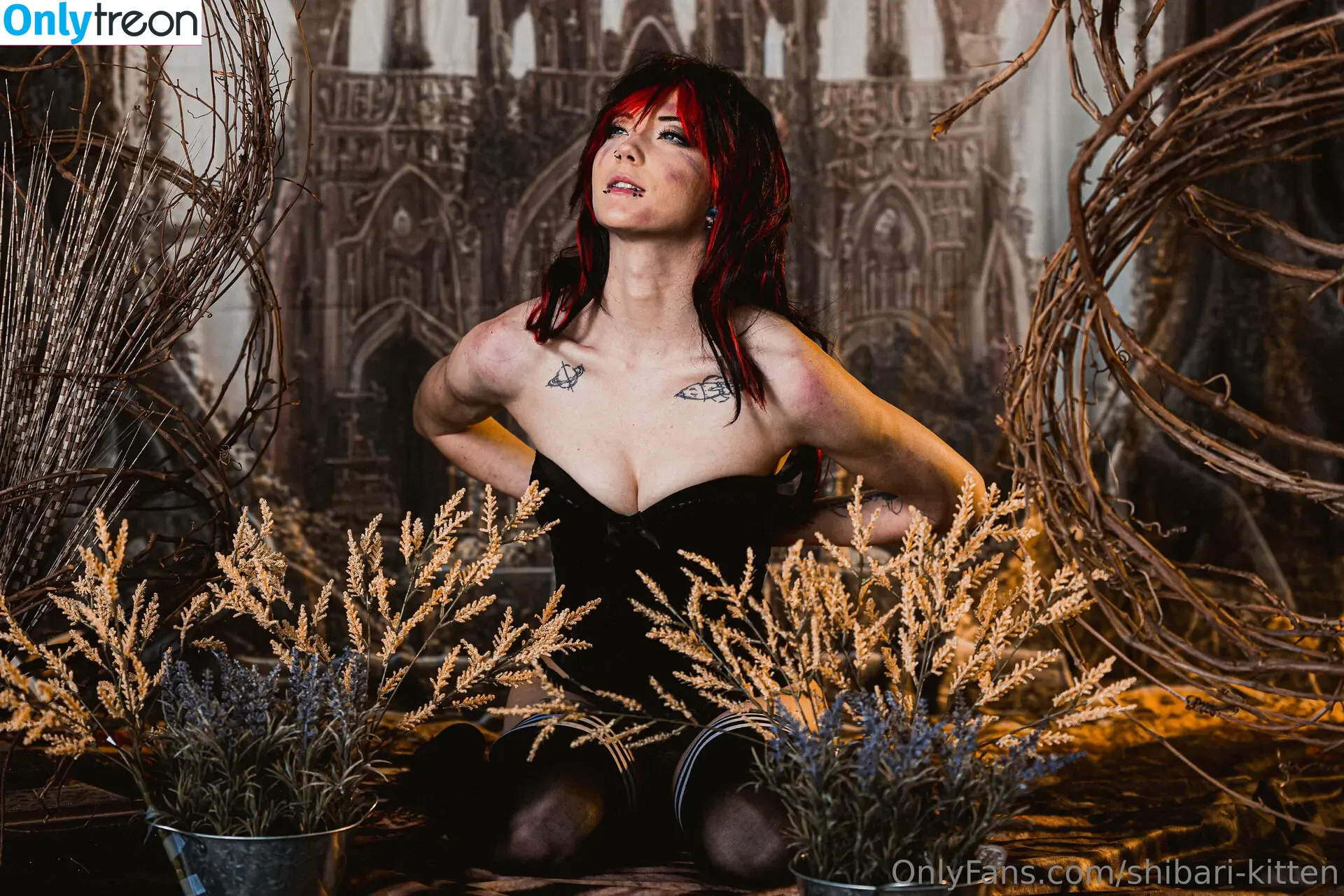 shibari-kitten nude photo #0055 (shibari-kitten)
