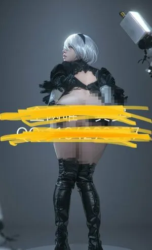 shiliuyelei / izayoi_rui / izayoirui фото голая #0098