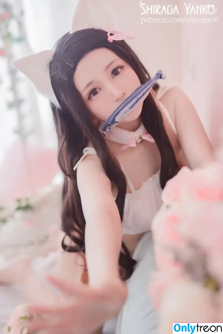 Shiraga Yanko nude photo #0238 (shiraga66 / shiraga_cosplay / shiragayanko)