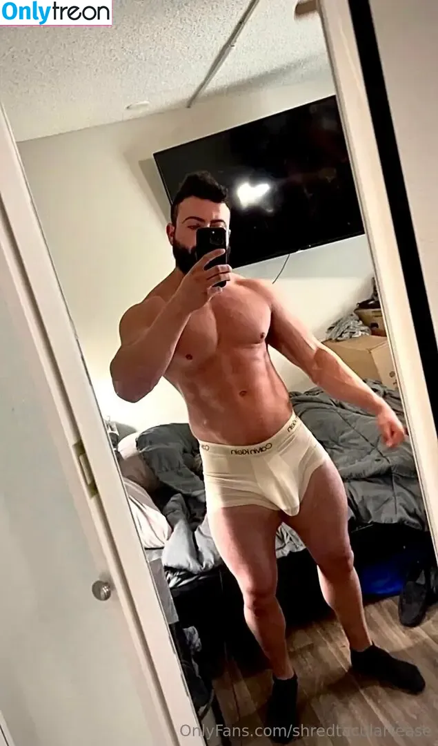 shredtaculartease nude photo #0070 (shredskyy)