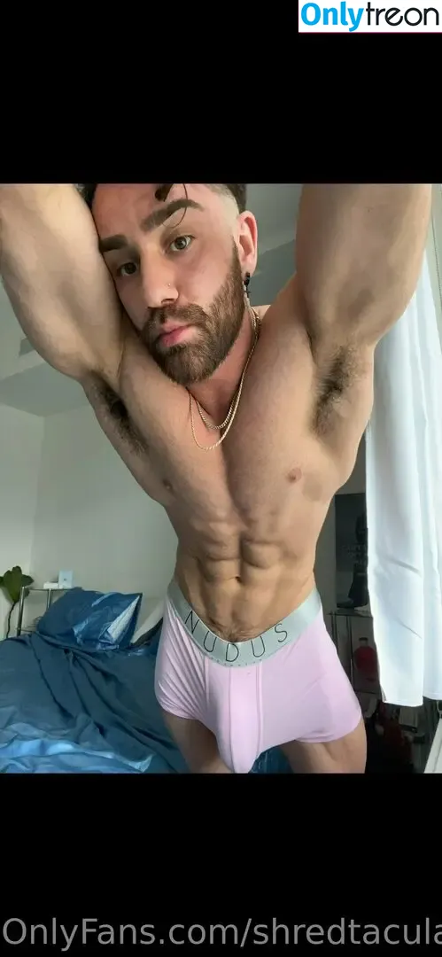 shredtaculartease nude photo #0149 (shredskyy)