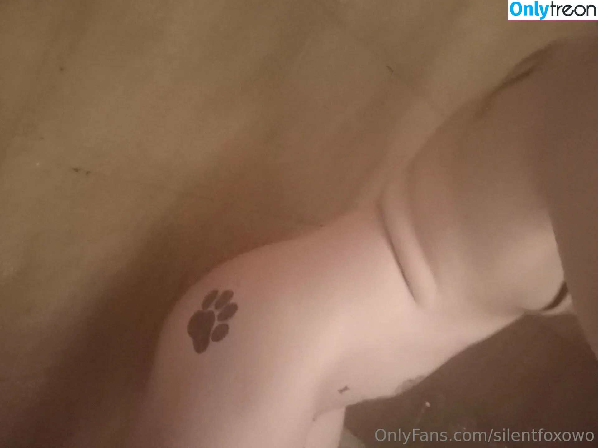 silentfoxowo nude photo #0100 (Fox / silentfox.studio)
