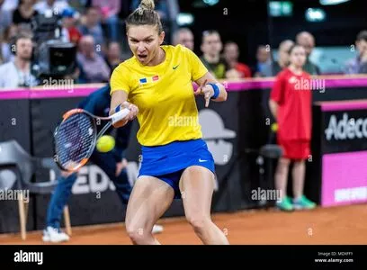 Simona Halep / simonahalep nude photo #0104