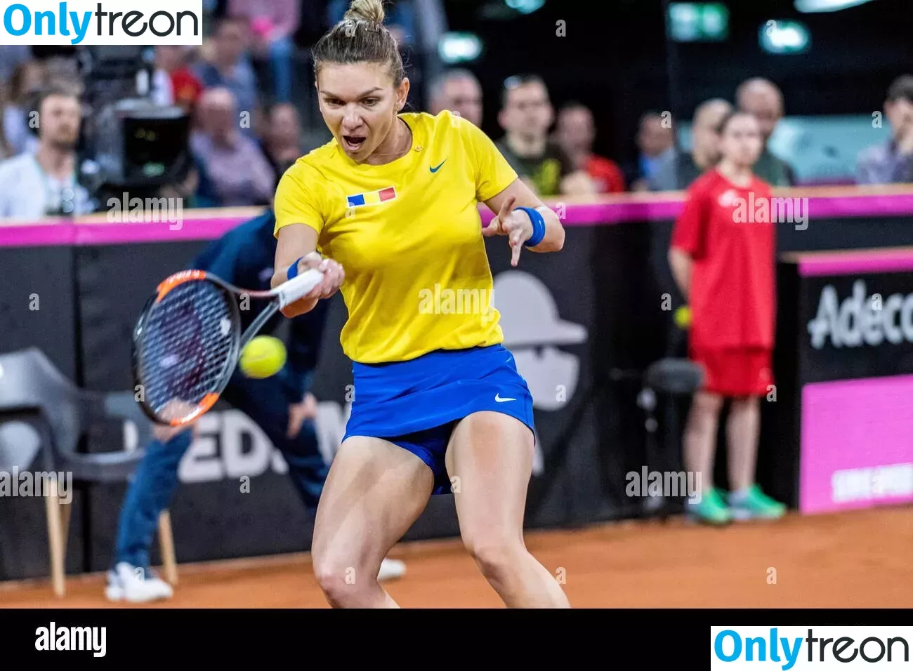 Simona Halep голая photo #0104 (simonahalep)