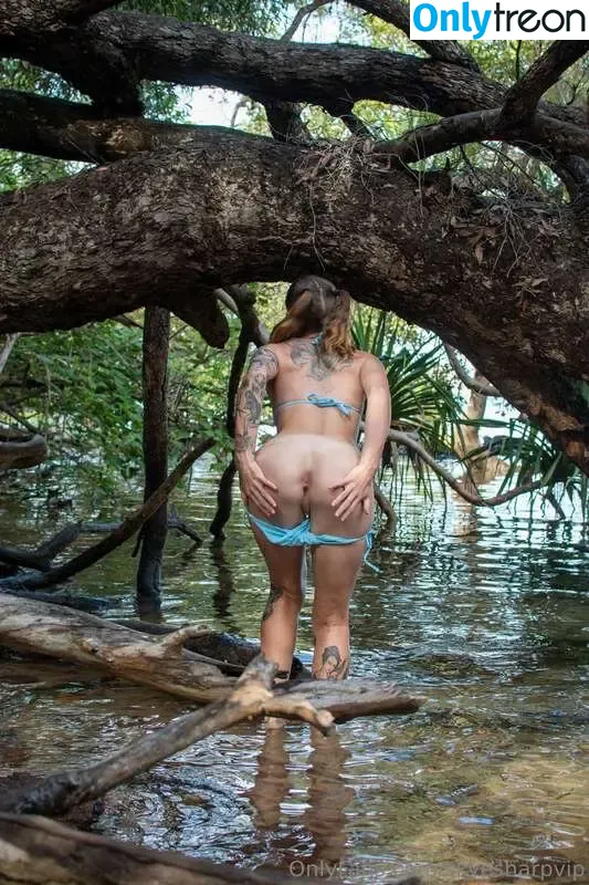 skyesharp nude photo #0498 (skyesharp_au)