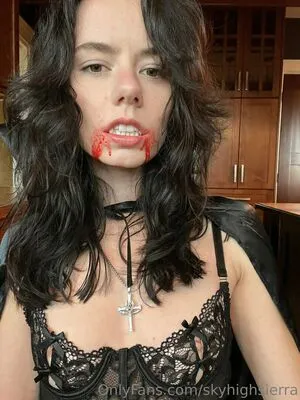 SkyHighSierra / xxxtopher69 nude photo #0034