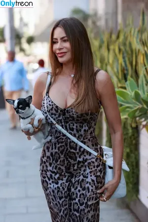 Sofia Vergara / sofia_vergara / sofiavergara фото голая #1996