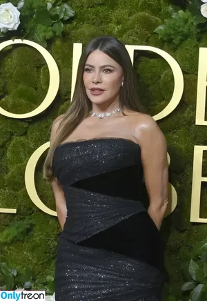 Sofia Vergara / sofia_vergara / sofiavergara nude photo #2395