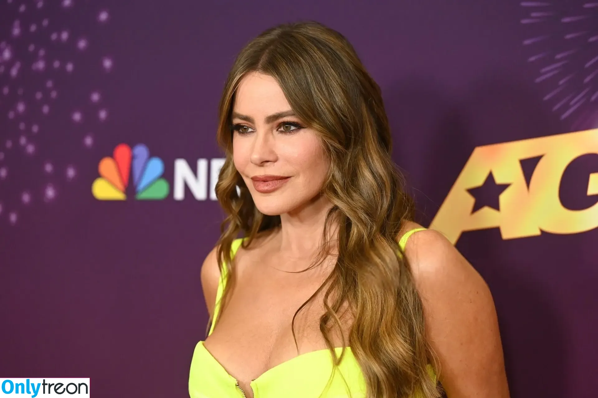 Sofia Vergara nude photo #2181 (sofia_vergara / sofiavergara)