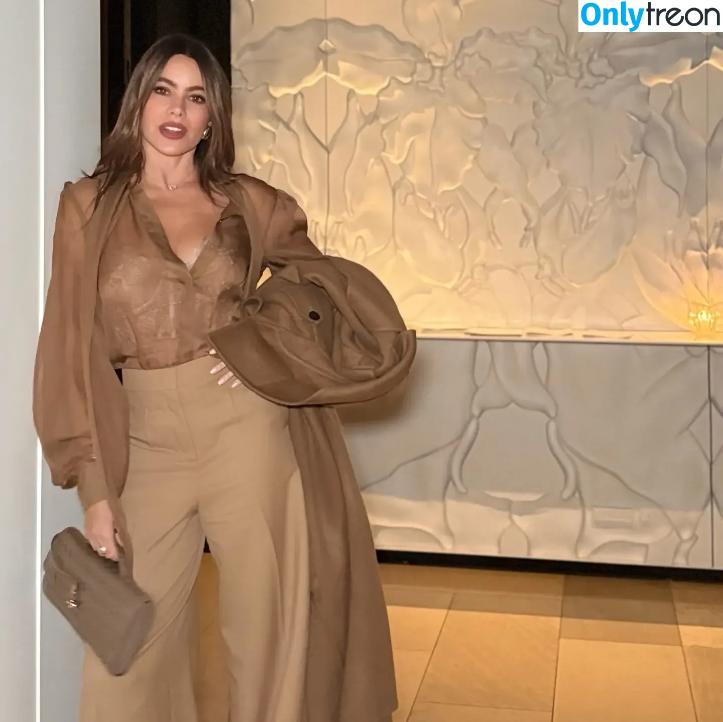 Sofia Vergara nude photo #2387 (sofia_vergara / sofiavergara)