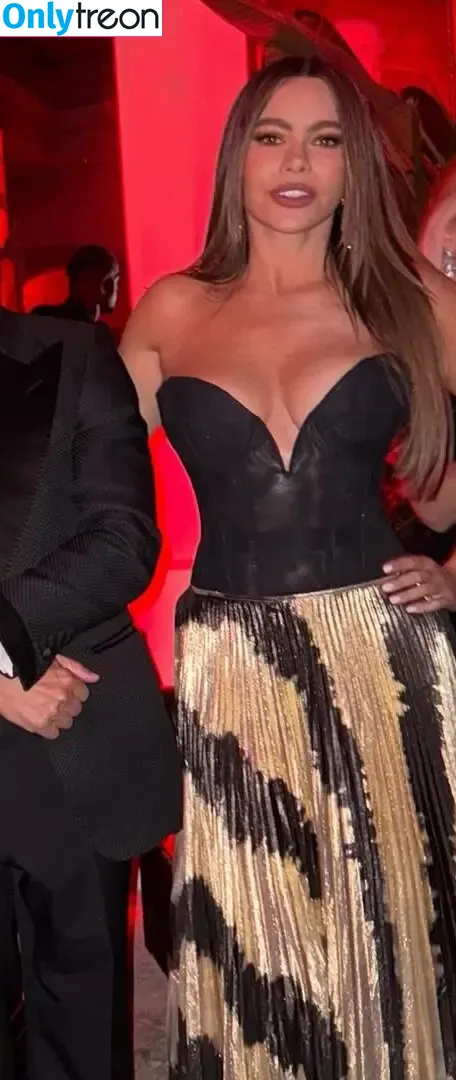 Sofia Vergara голая photo #2658 (sofia_vergara / sofiavergara)