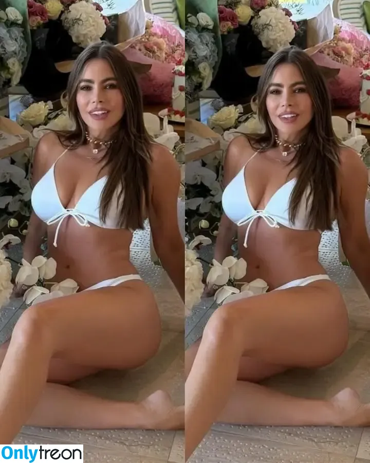 Sofia Vergara nude photo #2874 (sofiavergara / vergarasofia)