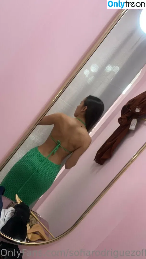 sofiarodriguezofficial nude photo #0083 (sofia__rdrgz)